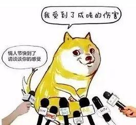 隐形式单身娱乐吃瓜酱,揭秘吃瓜酱背后的单身生活趣味 第3张 隐形式单身娱乐吃瓜酱,揭秘吃瓜酱背后的单身生活趣味 第3张